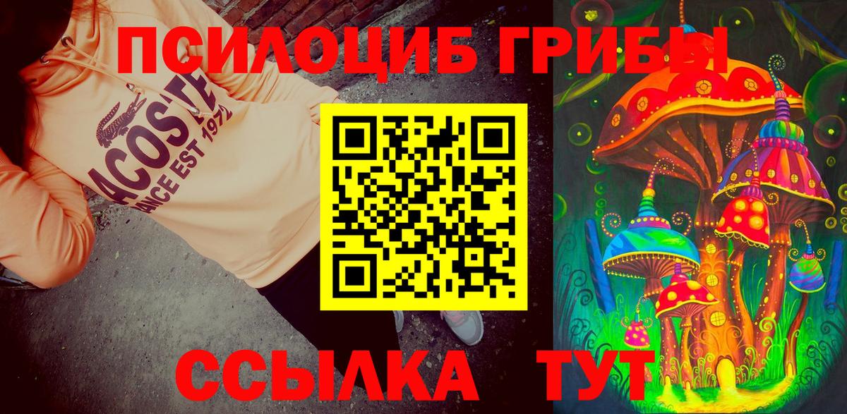 Ачхой-Мартан  Галлюциногенные грибы Magic Shrooms  Вход с VPN 