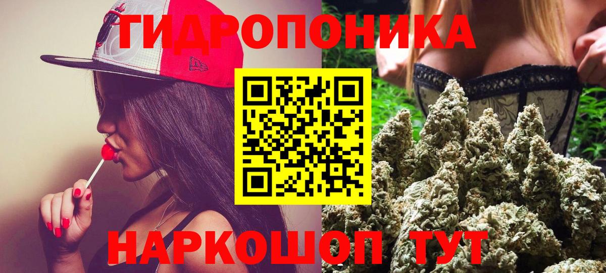 Бошки марихуана THC 21% Ачхой-Мартан